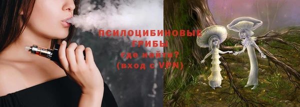 гидропоника Няндома