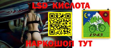 трава Бийск