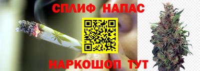 соль ск Гусев