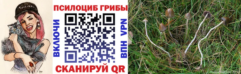Галлюциногенные грибы прущие грибы  даркнет сайт  Екатеринбург 