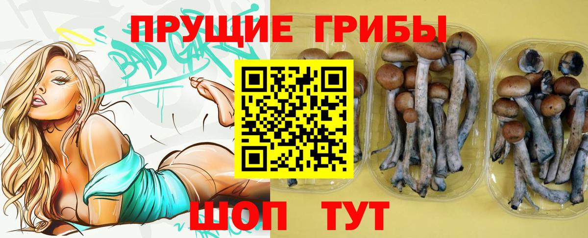 Галлюциногенные грибы ЛСД Екатеринбург