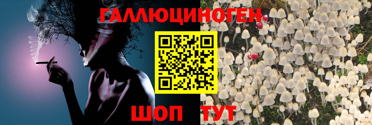 наркота  Вход с VPN  Екатеринбург  Псилоцибиновые грибы GOLDEN TEACHER 